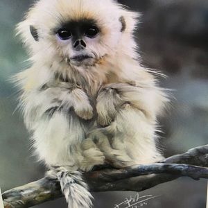 Meet your Posher, Alaina